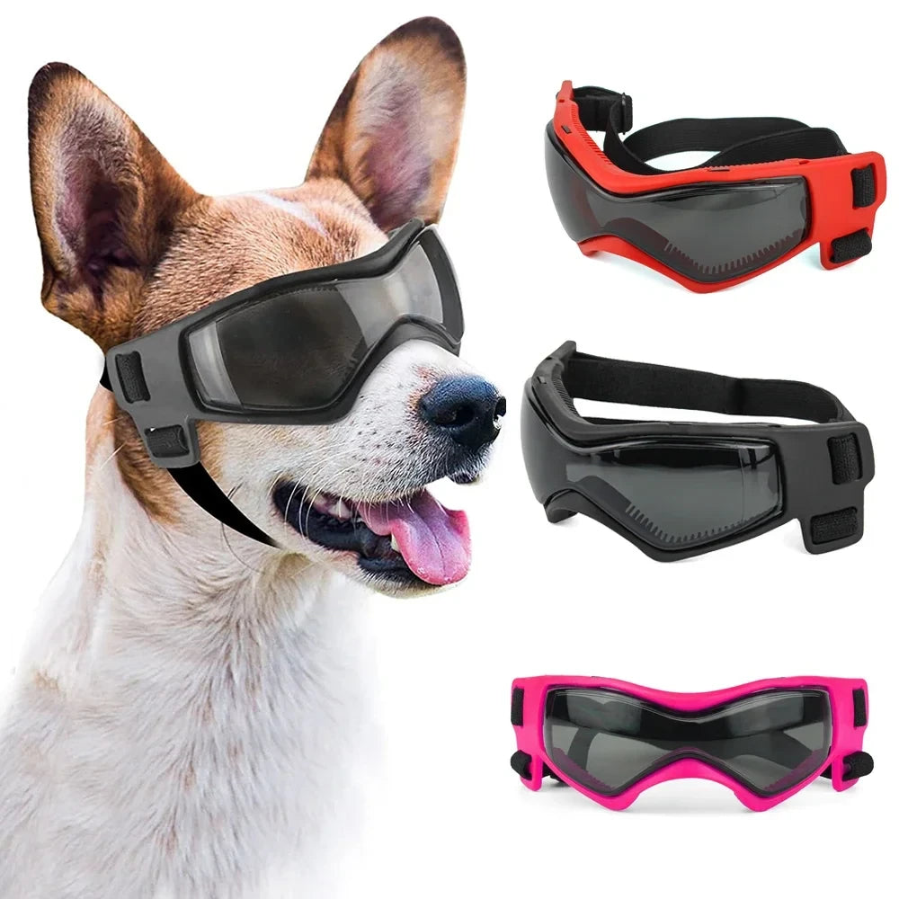 Protective Pet Goggles