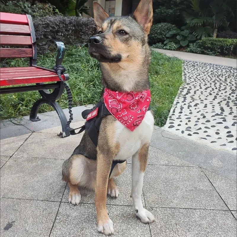 Adjustable Pet Bandana